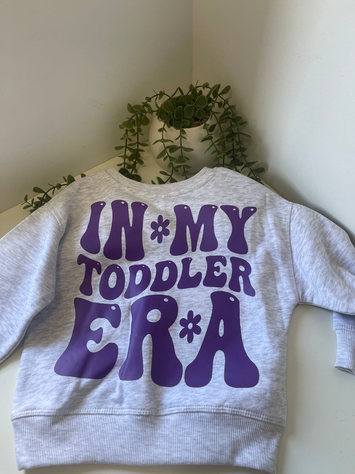 Toddler era jumper