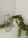 Black Santa’s milk bottle