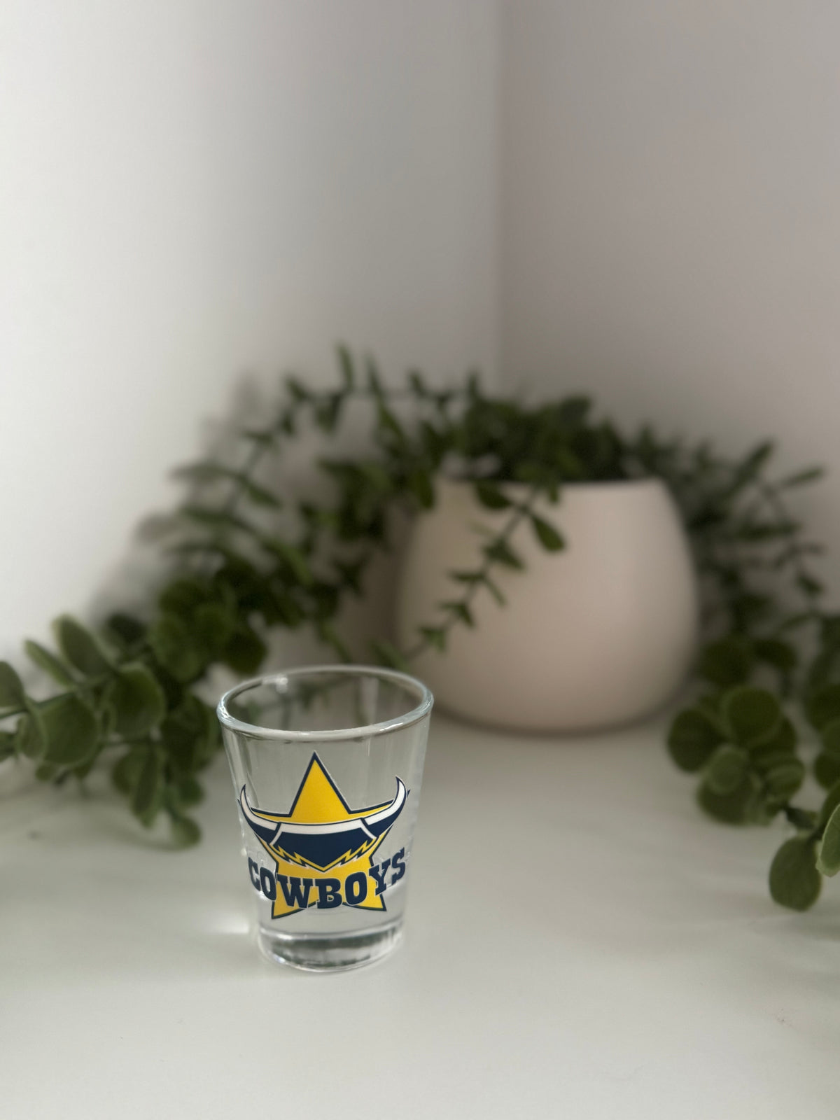 Cowboys shot glass